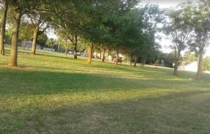 park doring 300x191